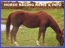 Horse Racing News ~ Info ~ Links