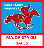 HORSE RACING ~ RACETRACK SITES & RACES